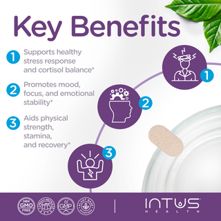 Intus Power Up Aswagandha